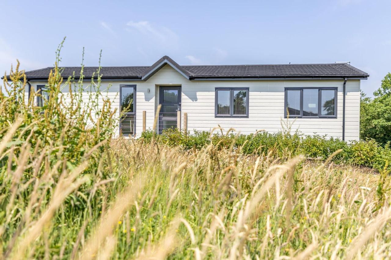 Rose Lodge, 21 Roadford Lake Lodges Lifton Eksteriør bilde